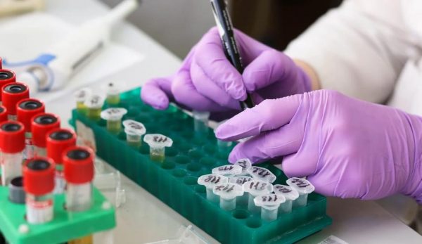 Hands of a lab worker