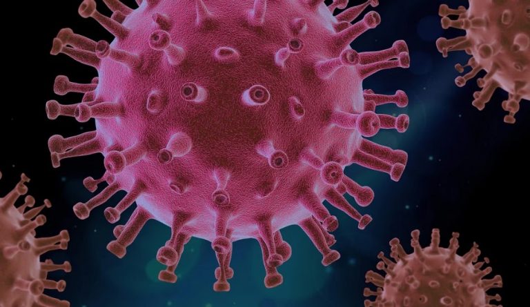 The US Centers for Disease Control and Prevention (CDC) recently published a report warning that the UK strain of the Coronavirus
