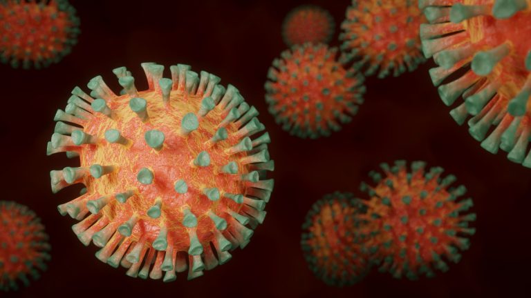 A mutated strain of the CCP virus, known as the UK coronavirus strain, has spread into at least eight states in the U.S.