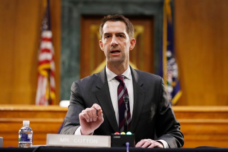 Republican Senator Tom Cotton recently released an 80-page report to guide the U.S. into decoupling from China and win the economic war..