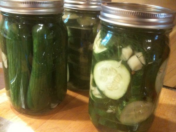 While pickling cucumbers are ideal in many ways, all cucumbers, and in fact most produce, can be fermented with success. Experimenting with what you have is a great way to learn and discover! 