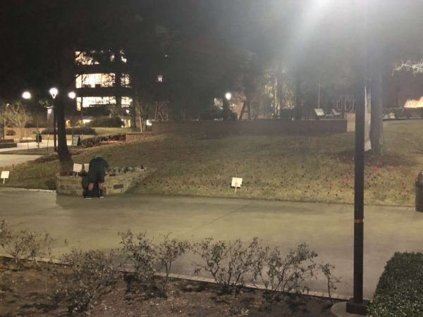 1000 red flags were planted to commemorate the 94 million people killed by socialism and communism at the Victims of Socialism Memorial placed by the Young Conservatives of Texas student group at Sam Houston State University. 