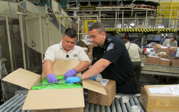 A U.S. Customs and Border Protection agriculture specialist, with assistance from Smuggling Interdiction and Trade Compliance (SITC), inspecting a parcel. 