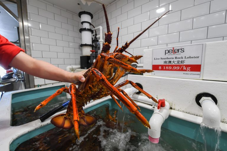 Hong Kong-seizes-4000-pounds-of-rock-lobster-purportedly-from-australia-getty-images-1085863742