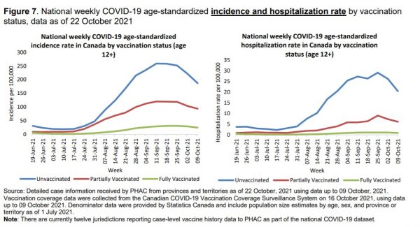 Canada’s positive PCR test and hospitalization graph per 100,000 persons based on vaccination status.