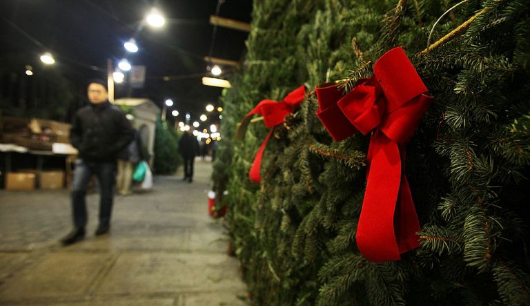 Christmas trees will be 30 percent more expensive this year.