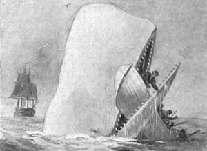 Illustration-of-Moby-Dick-Wikimedia-Commons