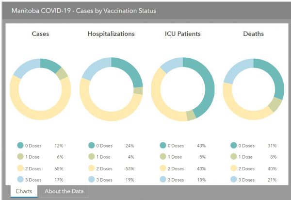 Manitoba COVID-19 cases, hospitalizations, ICU patients, and deaths by vaccination status.