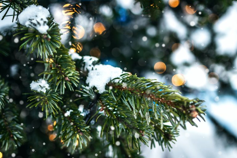 Christmas-tree-Pexels