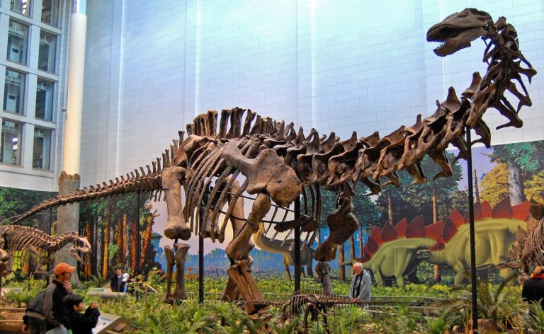 apatosaurus-recent-sauropod-discoveries
