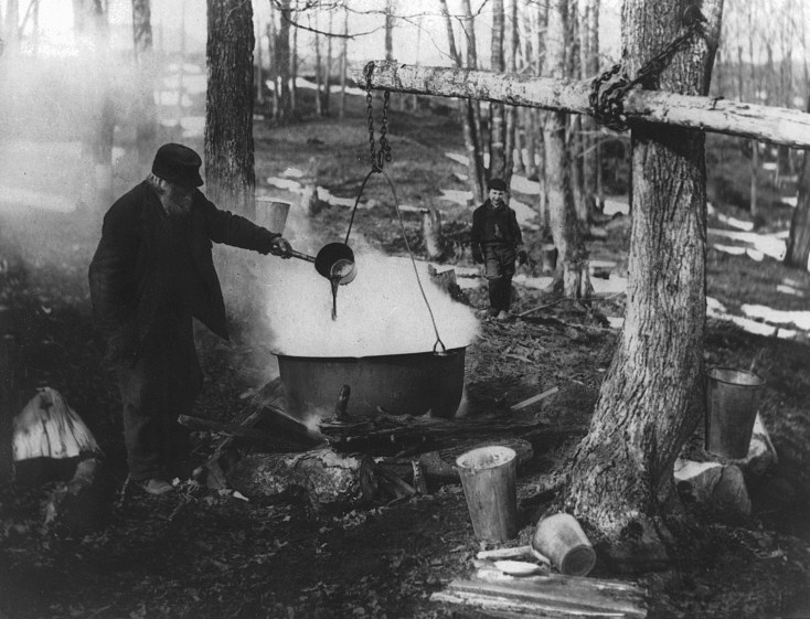 Canadian-maple-syrup-boiling-Wikimedia-commons