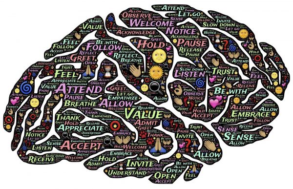 self-compassion-brain-wikimedia-commons