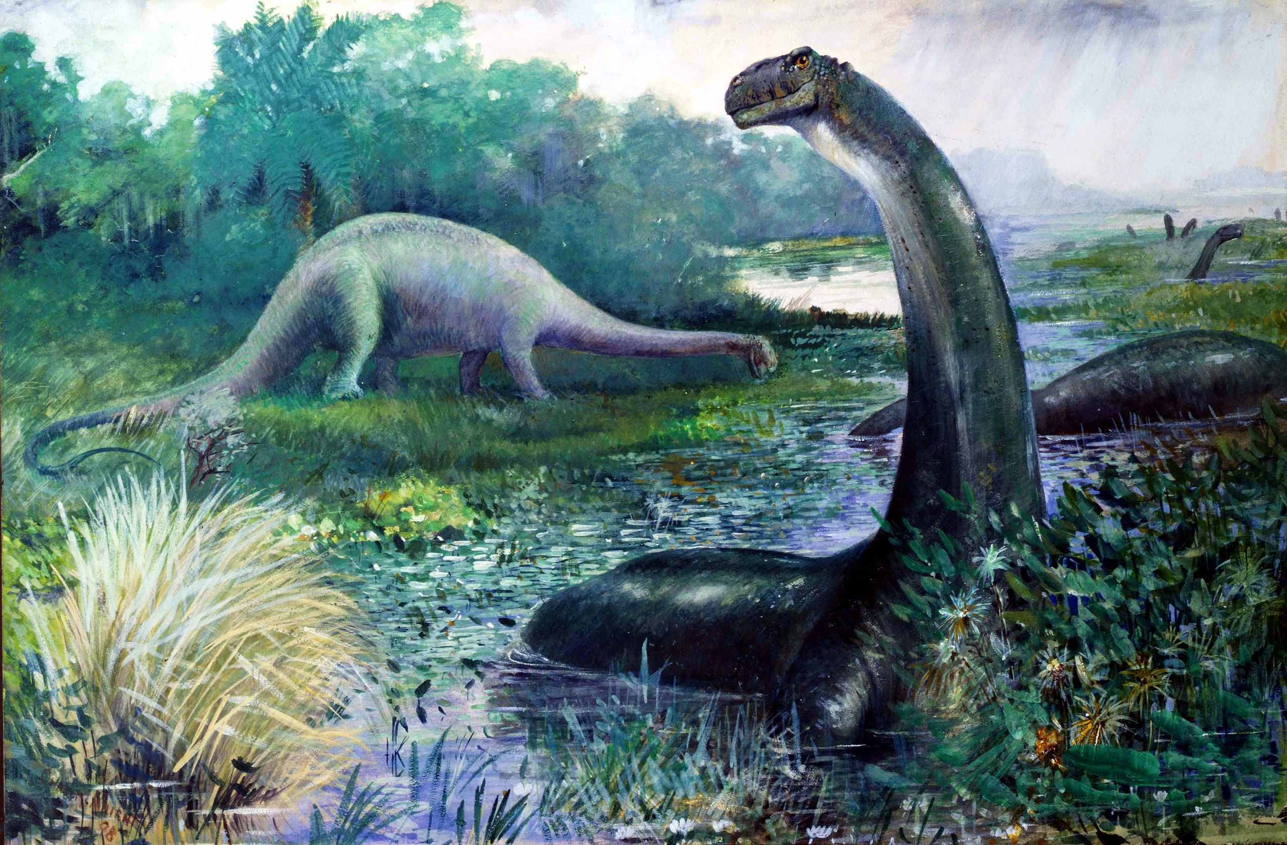 sauropod-illustration-wikimedia-commons