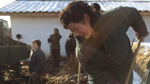 north-korea-farmer-woman-juche-fertilizer