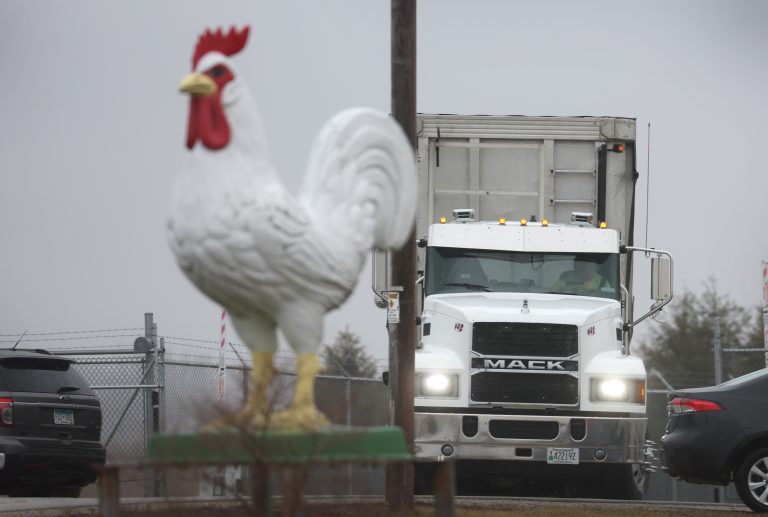 Avian-flu-outbreaks-Canada-U.S.-Millions-of-birds-killed-driving-up-prices-Getty-Images-1387573651