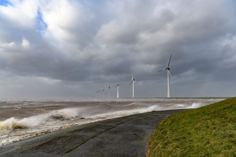 Researchers found a way to make resin for wind turbines into something that can be eaten during recycling.