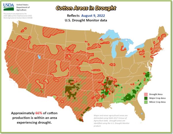 USDA Cotton Areas in Drought infographic. 66 percent of cotton production is seated in an area suffering from drought.