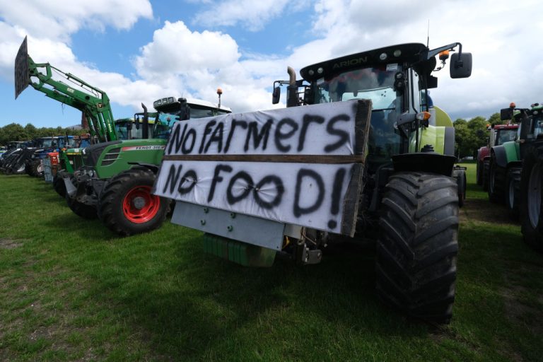 The Netherlands Dutch government will confiscate 3000 farms because nitrogen but intends to build houses
