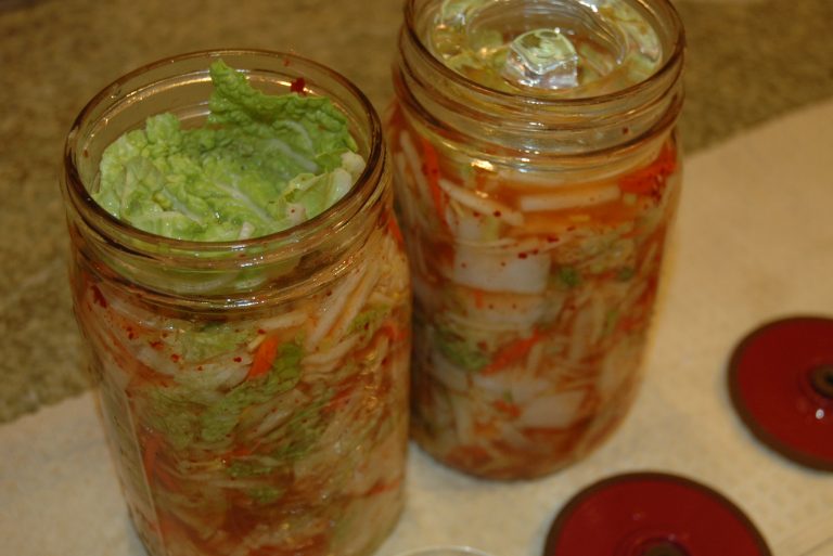 kimchi-ila