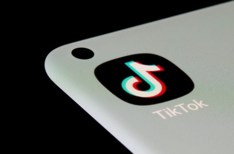 The TikTok app is seen on a smartphone in this illustration.