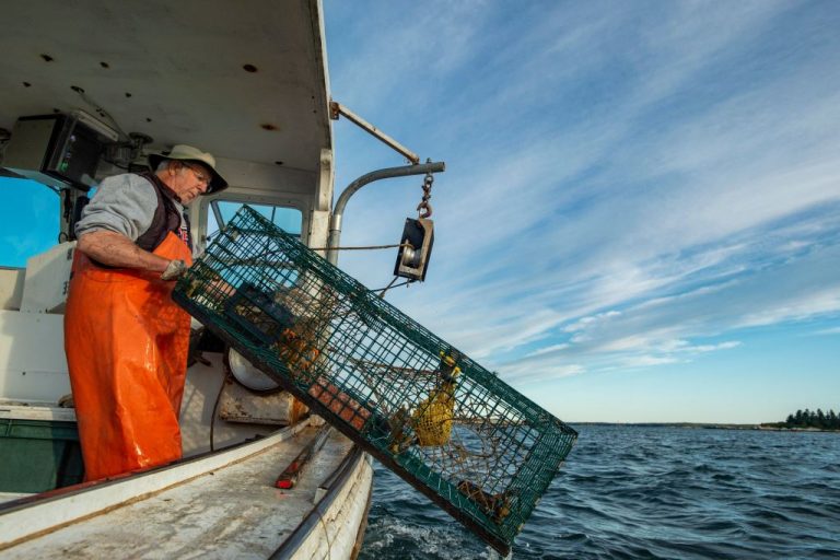 Lobstermen-conservationists-clash-over-ropeless-traps-Getty-Images-1234362003