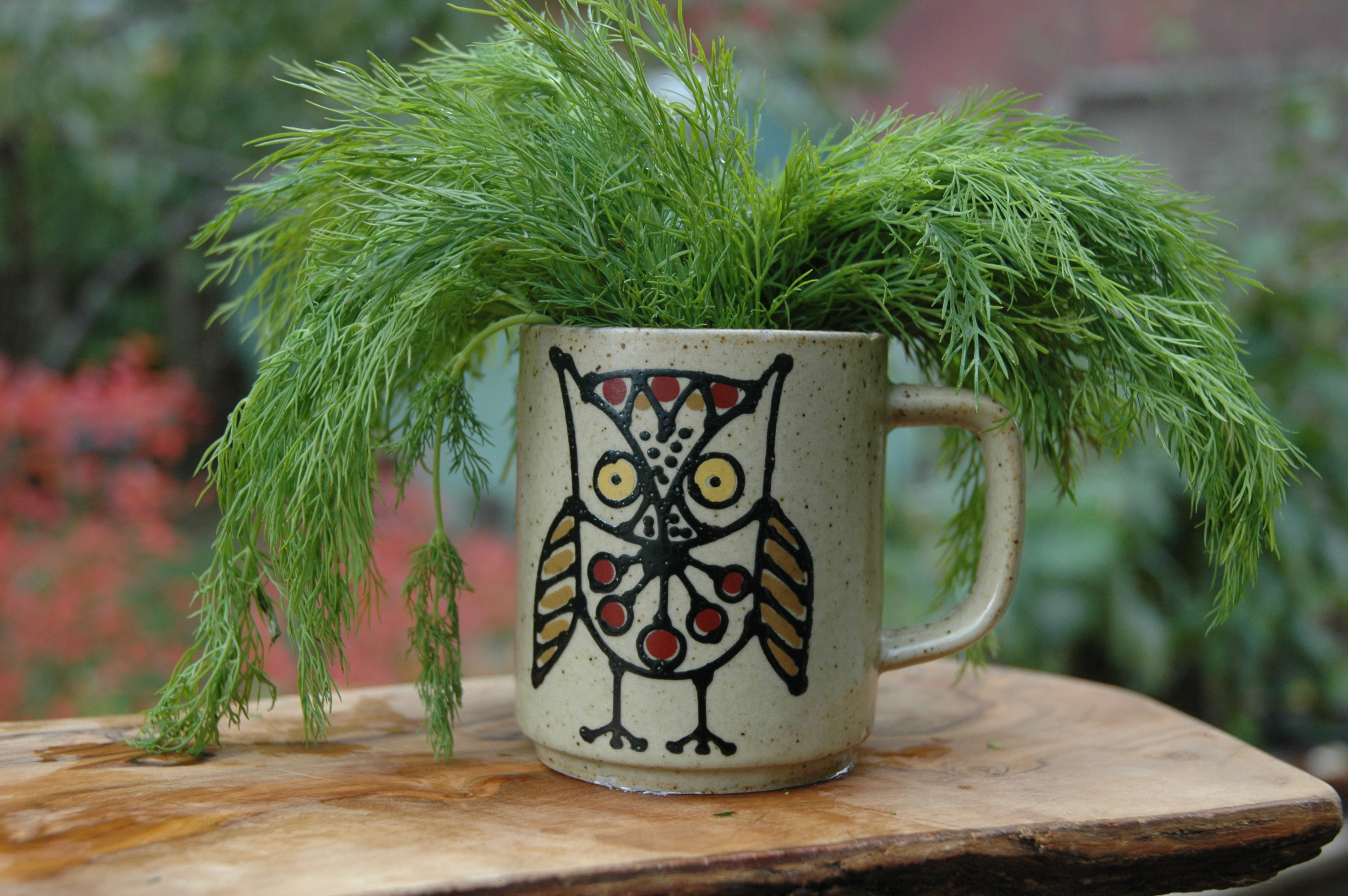 Dill-owl-cup-Ila