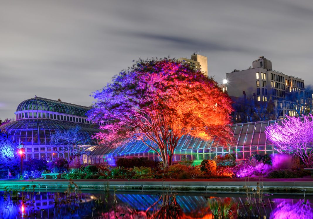 Last Chance to See Brooklyn Botanic Garden’s Lightscape - Vision Times