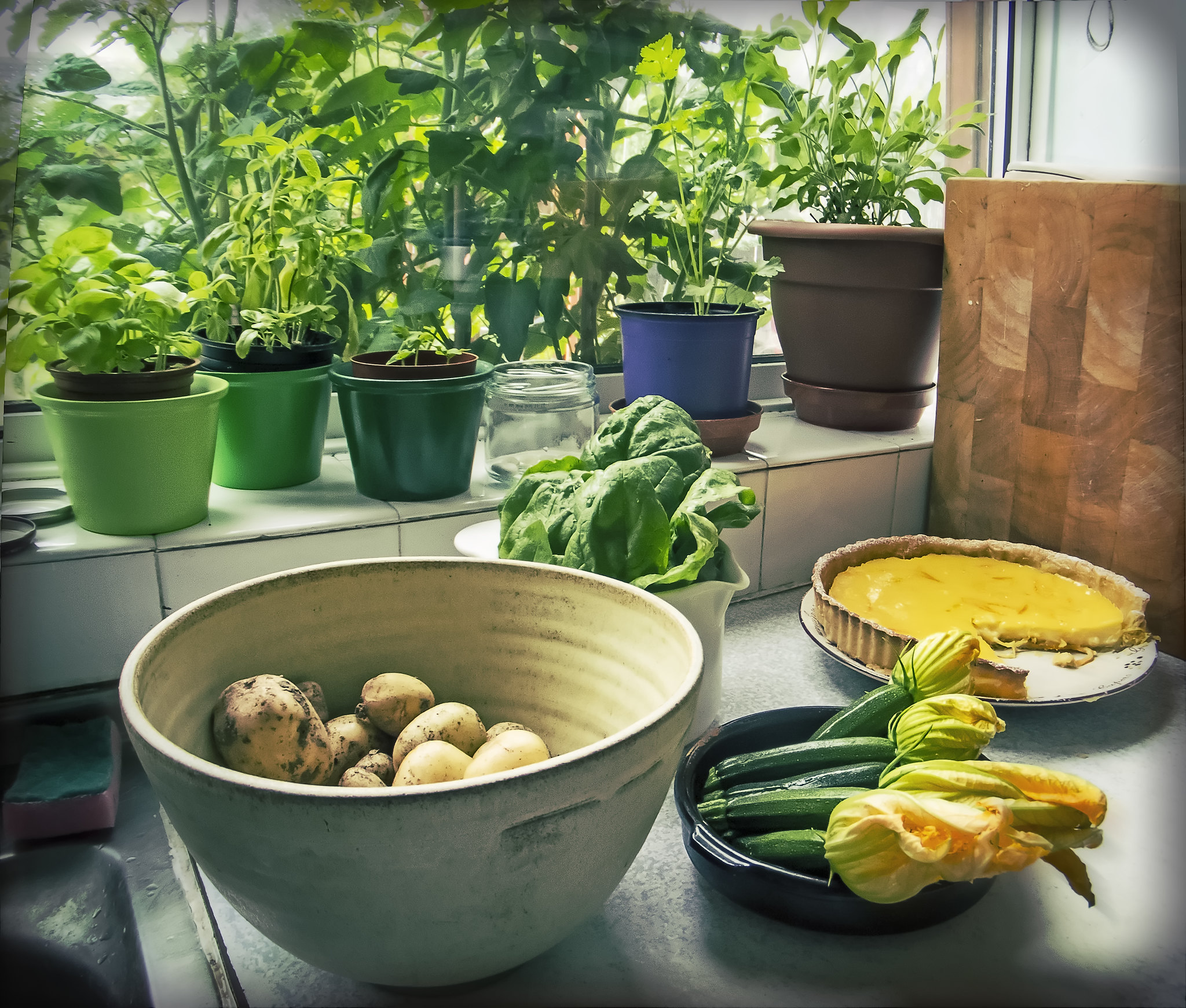 growing-your-own-food-Flickr