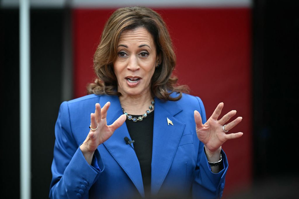 Harris Reveals Her Economic Agenda As Democratic National Convention