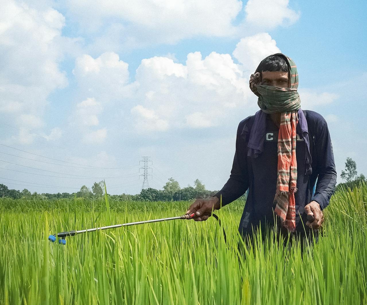 agriculture-chemicals-pexels