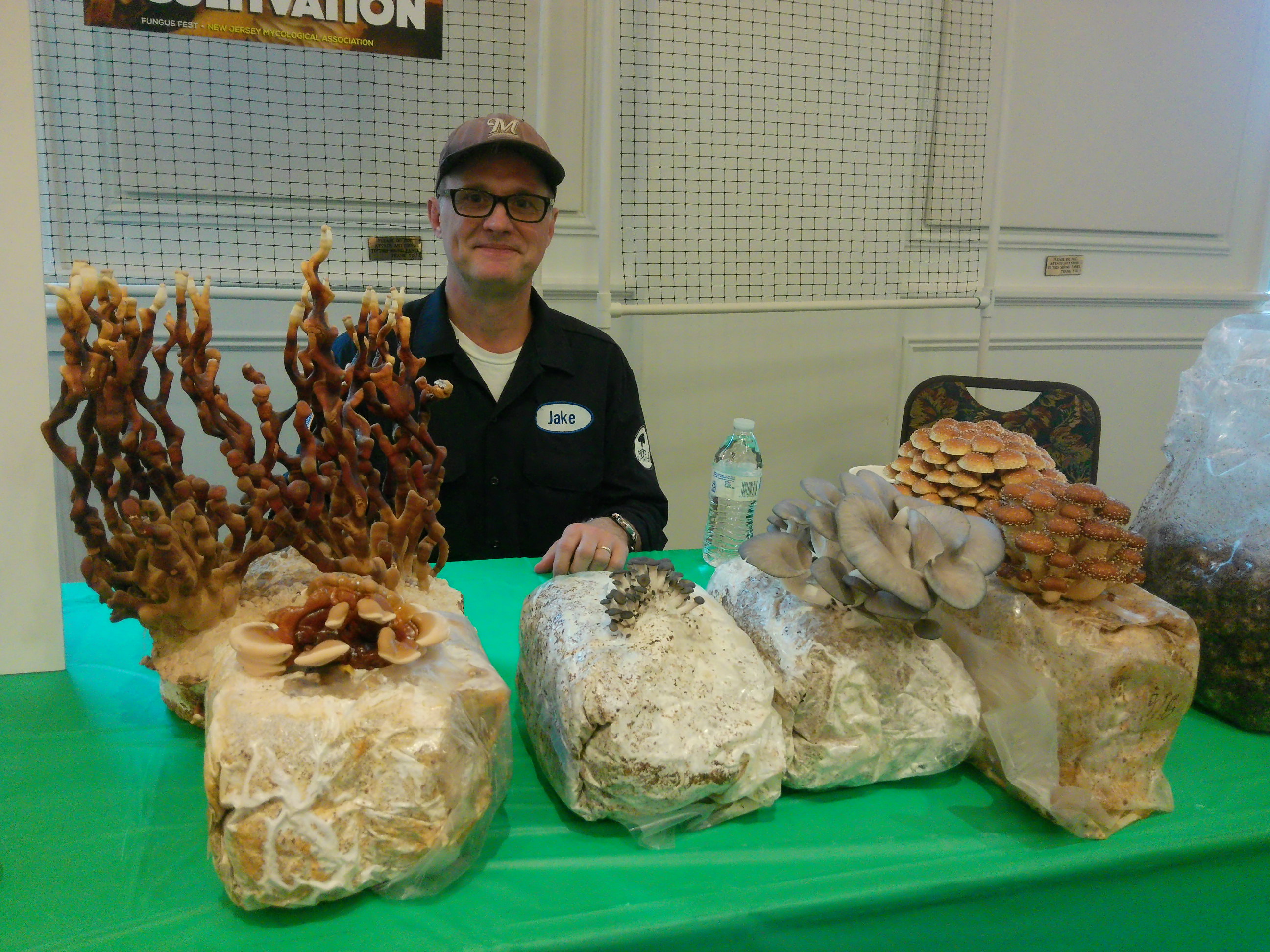 fungus-fest-ila