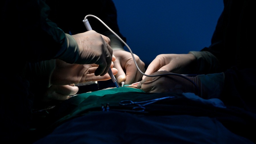 Japan Arrests 3 Over Alleged Cambodia Organ Transplant Brokerage Involving Chinese Physician