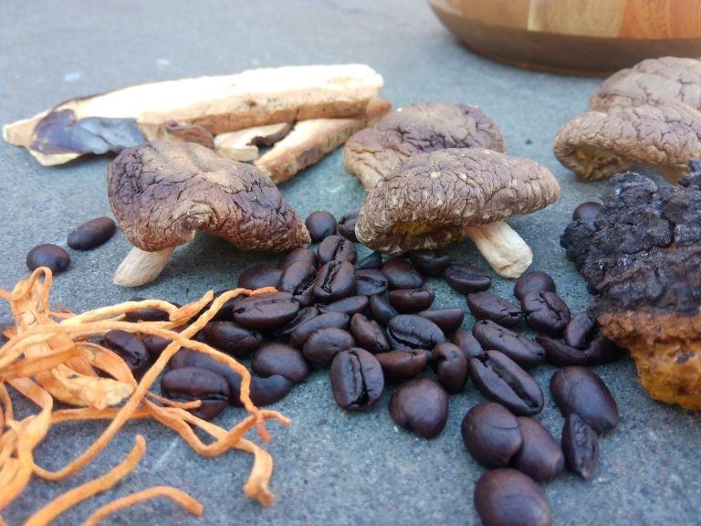 mushroom-coffee-ila