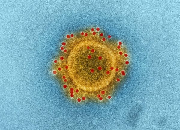 what-makes-you-sick-Pexels
