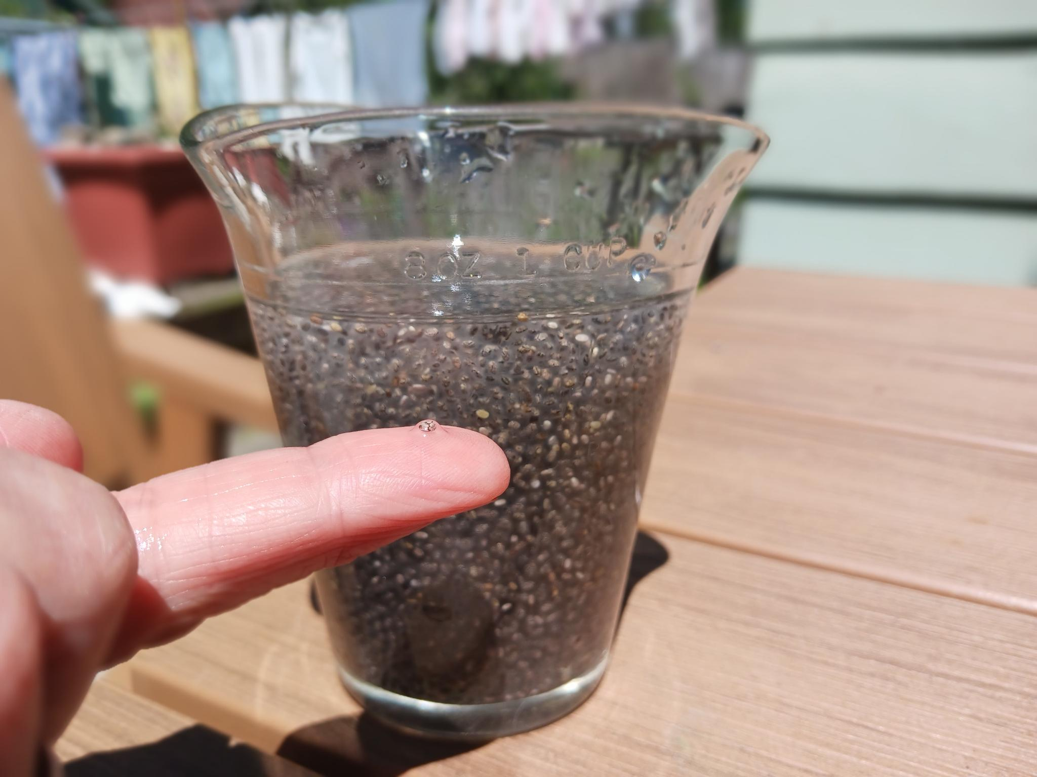 eating-chia-seeds-ila