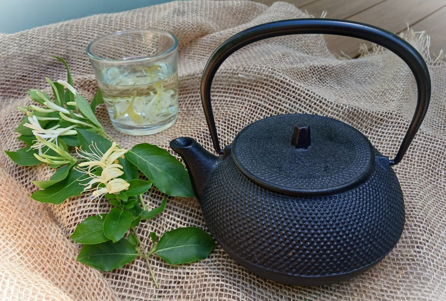 Japanese-honeysuckle-tea-Ila-Bonczek