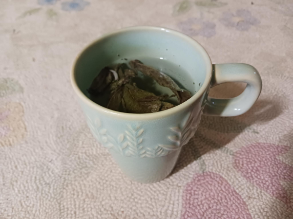 sage-tea-Ila-Vision-Times