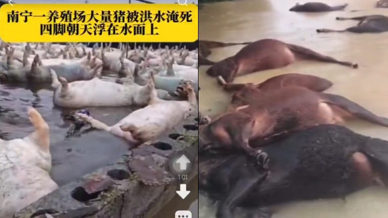 Guangxi Flood
