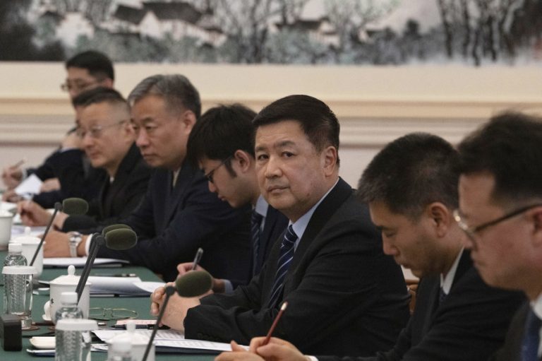 Wang Xiaohong - Public Security - China