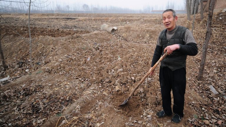 Xi Jinping 2026